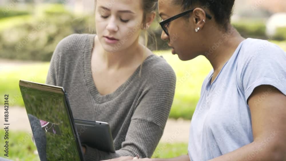 A pretty African American college student using a laptop computer studies outdoors on campus with her Caucasian colleague who is using a tablet pc. A pretty African American college student using a laptop computer studies outdoors on campus with her Caucasian colleague who is using a tablet pc.