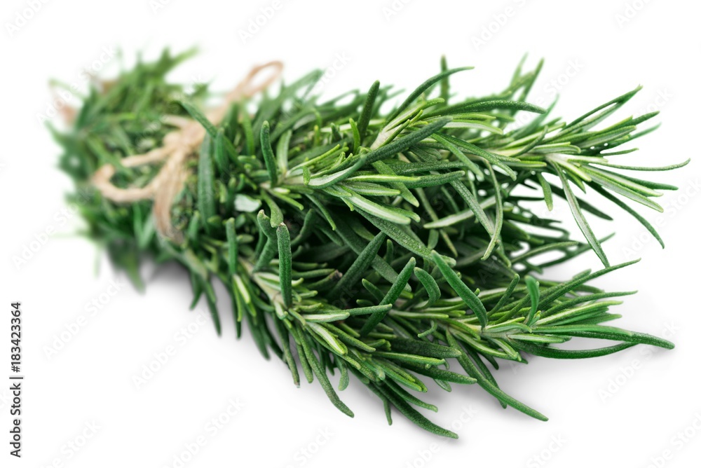 thyme fresh herb isolated on white background thyme fresh herb isolated on white background