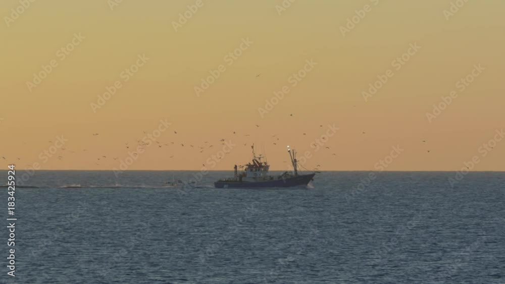 Fishing boat followed by a flock of seagulls in the morning Fishing boat followed by a flock of seagulls in the morning