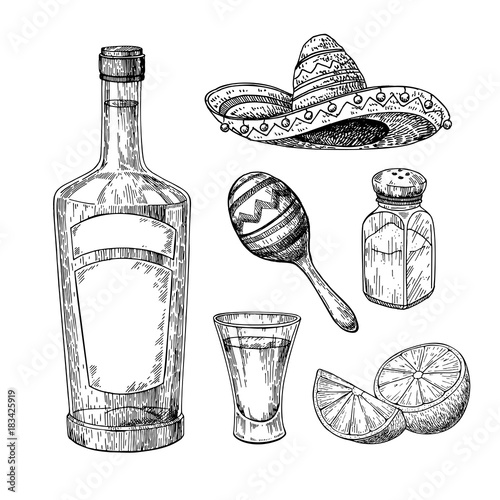 Tequila bottle, salt shaker and shot glass with lime. Mexican alcohol drink vector drawing.