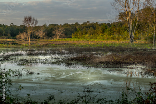 Open Water Prairie