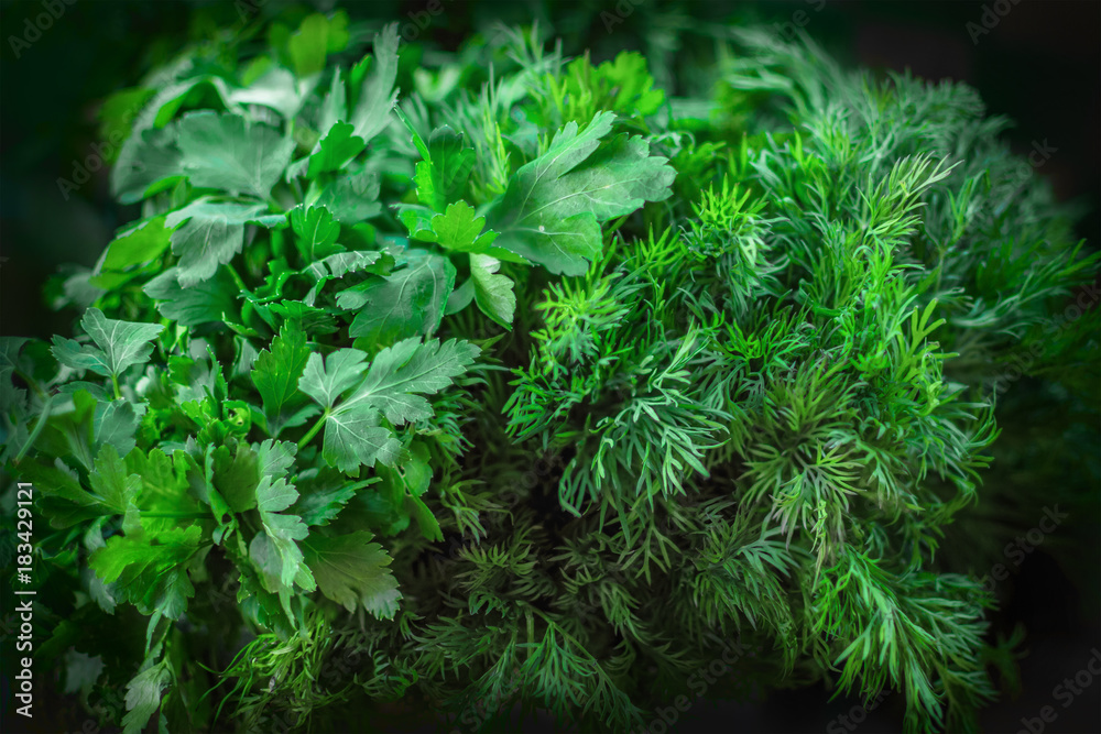 background texture of green dill and parsley, on the market counter background texture of green dill and parsley, on the market counter