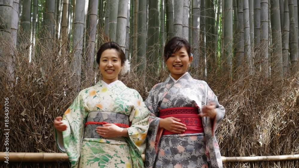 Beautiful kimono women wolcoming you to Kyoto. Beautiful kimono women wolcoming you to Kyoto.