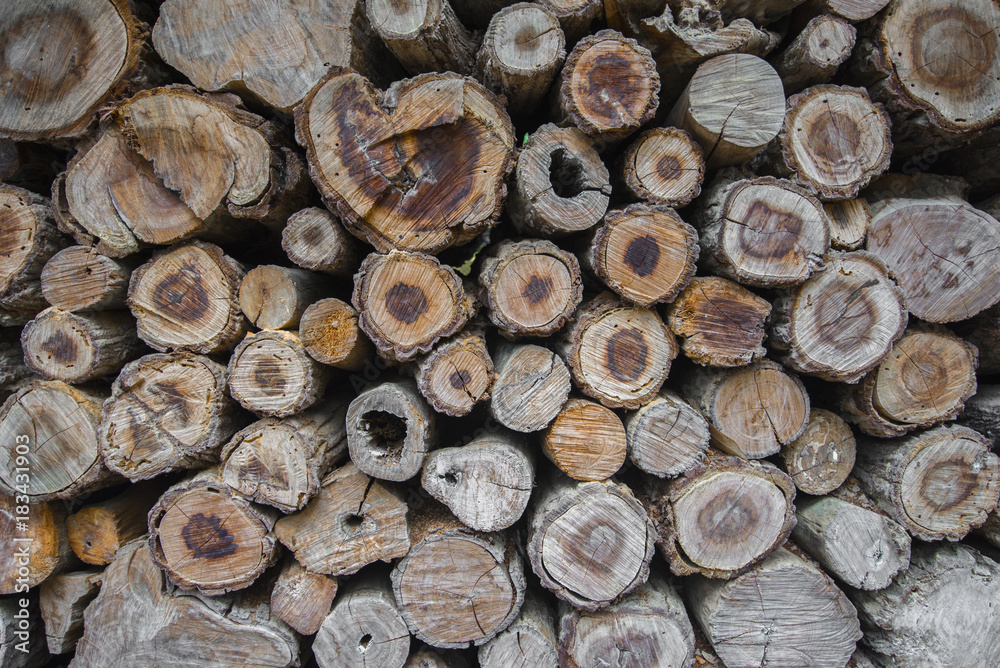 Many stump are made to decorate the wall. Many stump are made to decorate the wall.
