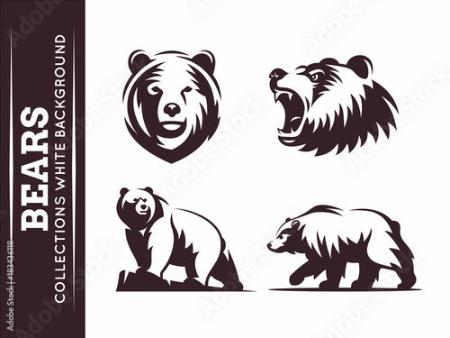 Bears collections - vector illustration on white background photo