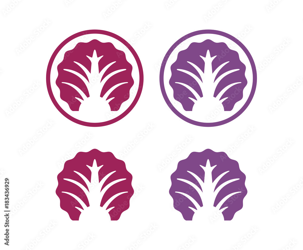 Unique Fresh Cabbage Vegetables Food Illustration Circle Set Logo Symbol