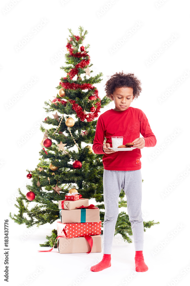 Portrait of cute mixed race little boy standing near Christmas tree with plate of cookies and glass of milk Portrait of cute mixed race little boy standing near Christmas tree with plate of cookies and glass of milk