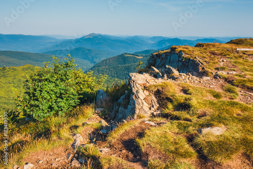 Fototapeta Naklejka Na Ścianę i Meble -  Summer mountain landscape at sunrise with grass and blue sky
