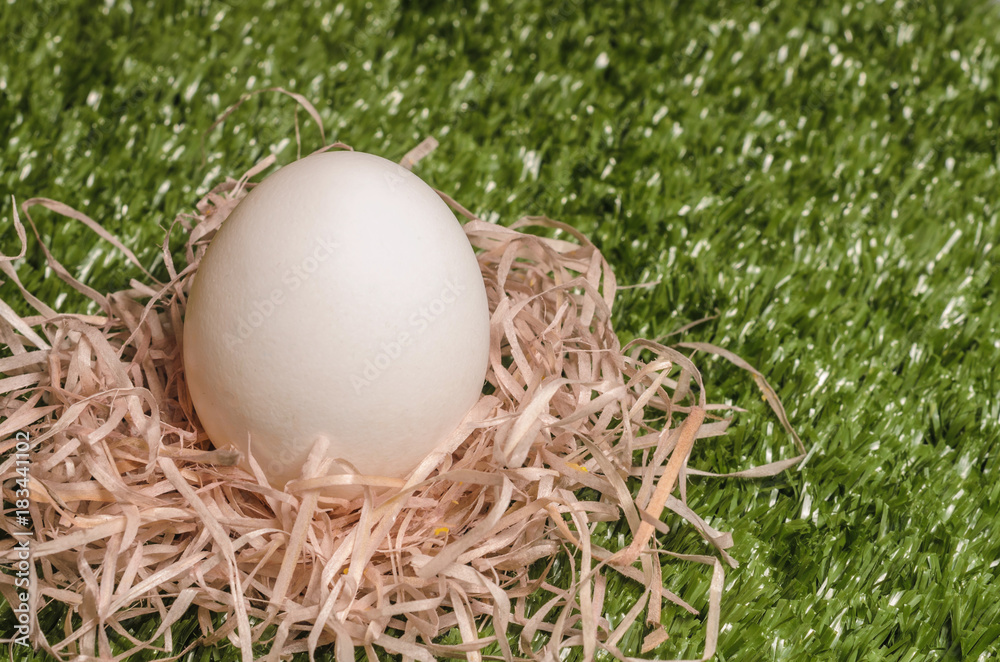 Chicken egg on artificial turf in the nest. Waiting for the birth of a new life Chicken egg on artificial turf in the nest. Waiting for the birth of a new life