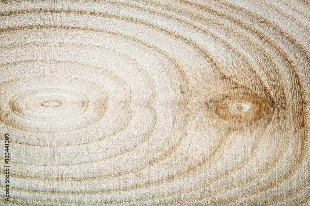 Fototapeta premium Texture of an old tree, round saw cut, Wooden background.