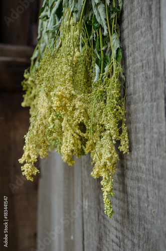 Bunches of dried herbs for herbal tea on old wooden gate background