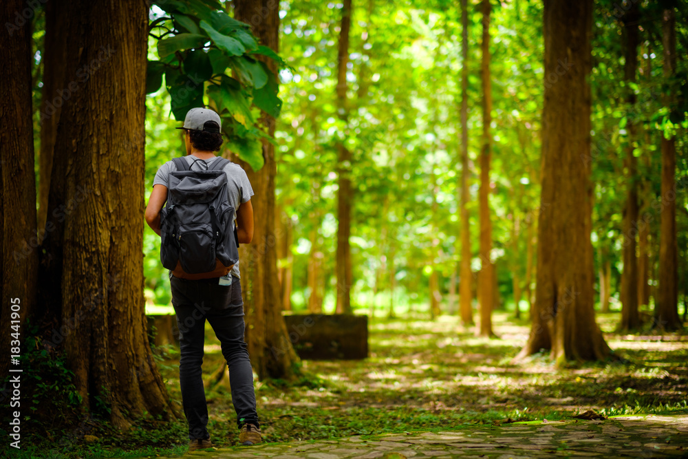 Fototapeta premium Man traveler traveling walking with backpack at the jungle on holiday at weekend on background nature view