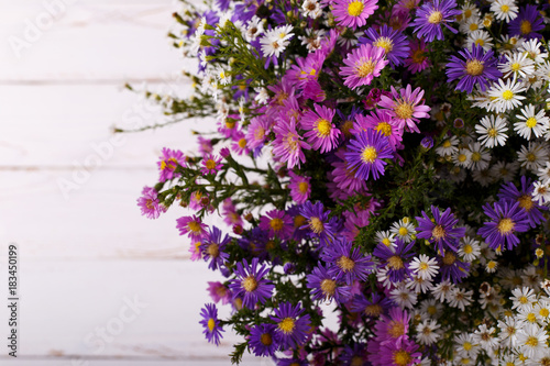 Bouquet of colorful aster flowers