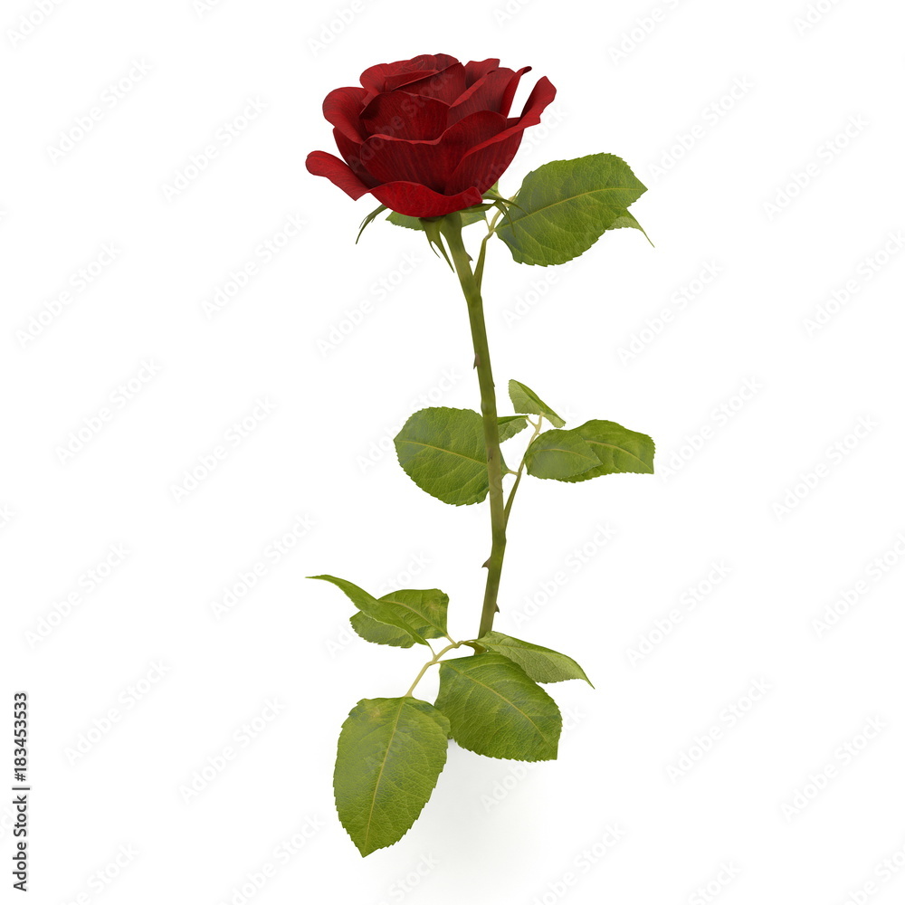 red rose isolated on white. 3D illustration