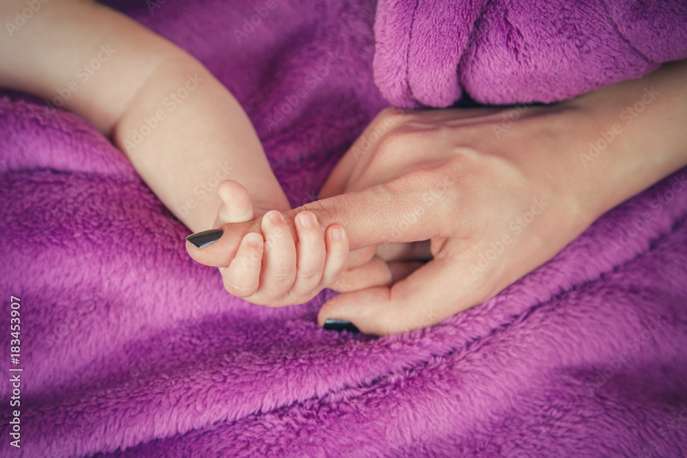baby's hand holding mother's finger baby's hand holding mother's finger