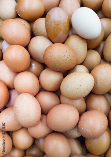 Fresh egg pile from the oganic farm.