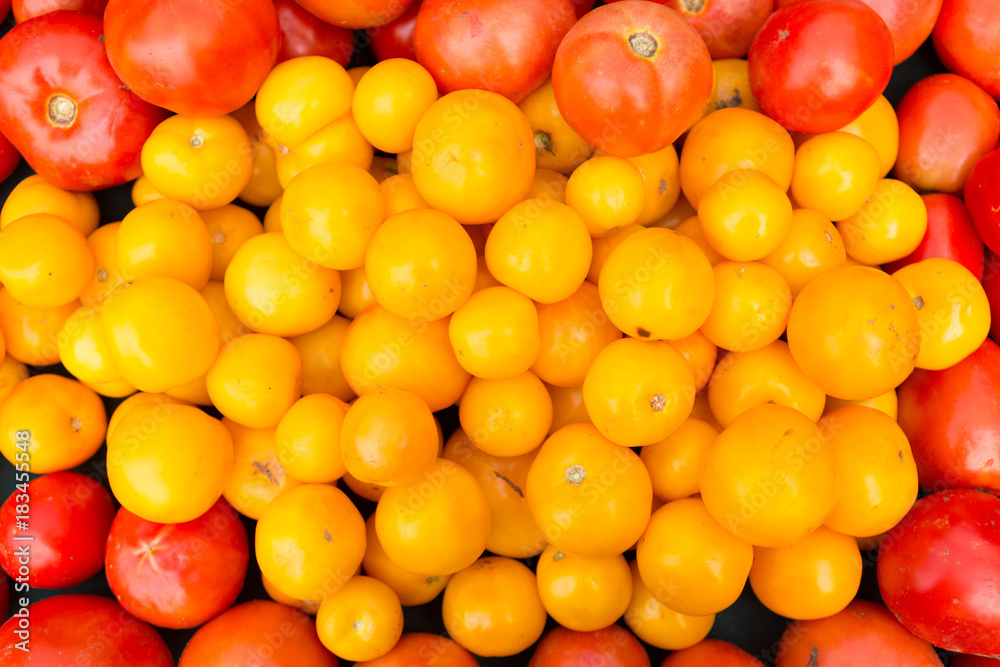 Organic red and golden tomatoes at farmers' market. Organic red and golden tomatoes at farmers' market.