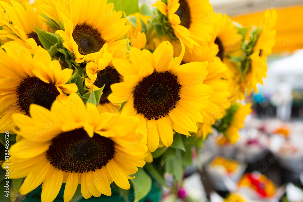 Close up of beautiful Summer bouquets at the farmers market Close up of beautiful Summer bouquets at the farmers market