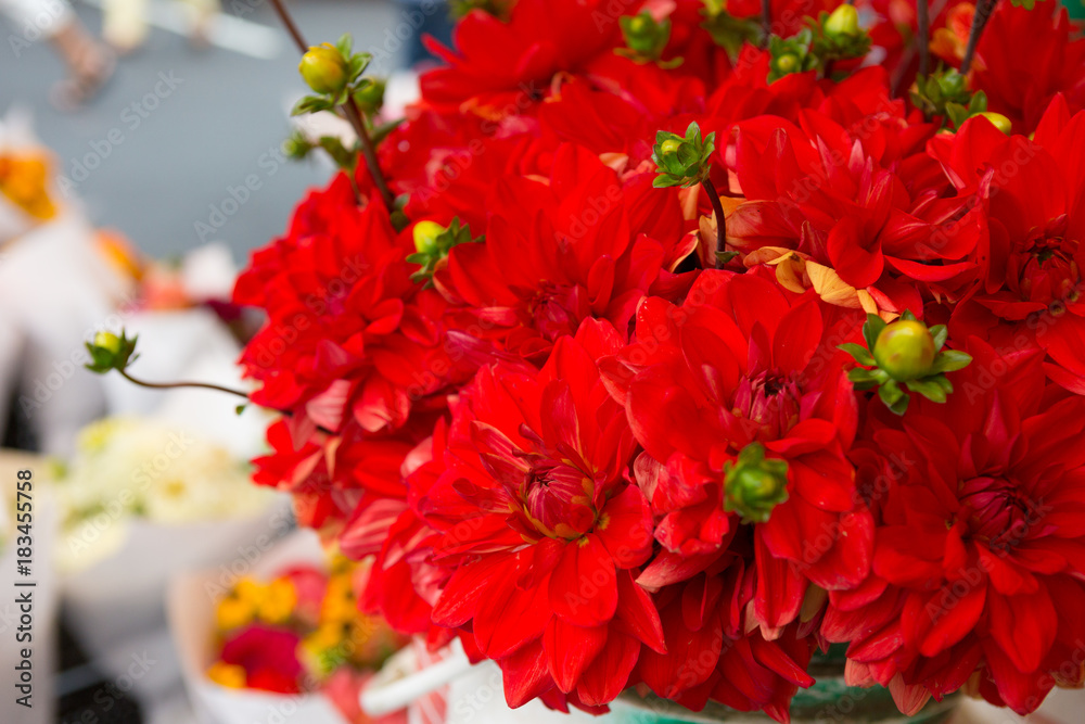 Beautiful Dahlia bouquet at the farmers market. Beautiful Dahlia bouquet at the farmers market.