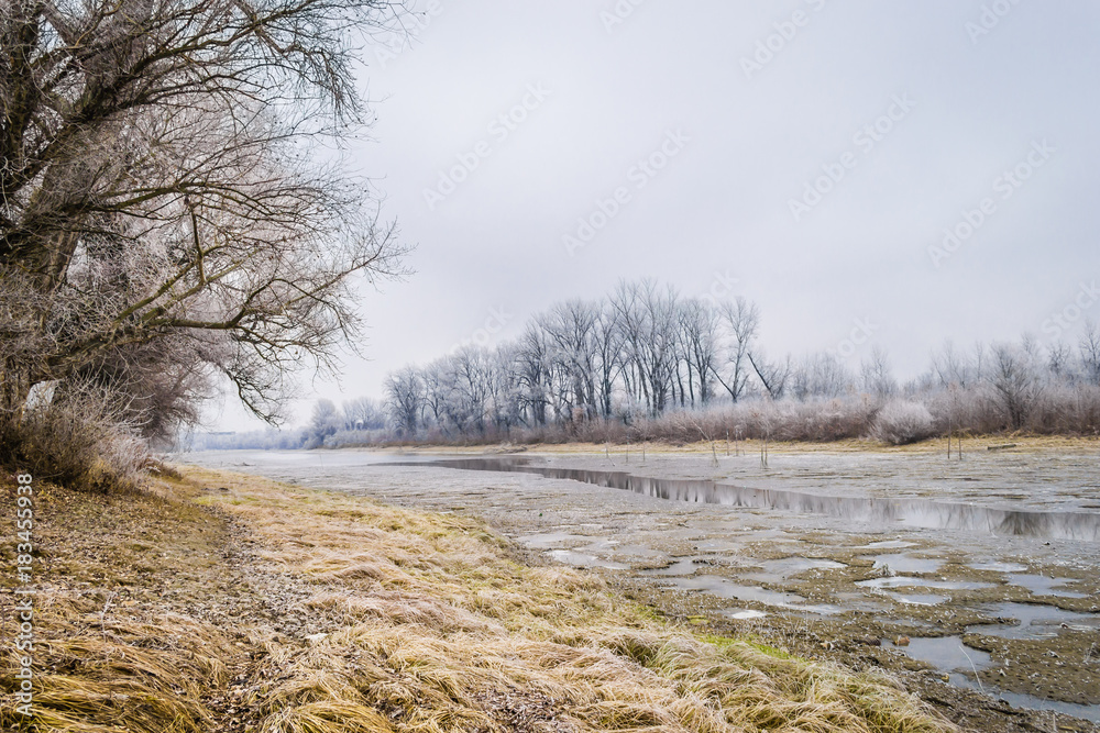 Panorama of the frozen lake and snow-covered trees