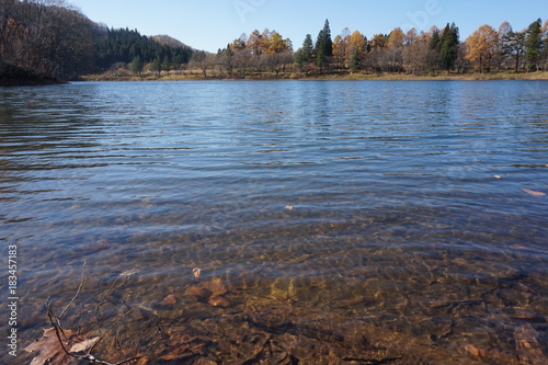 水辺の風景