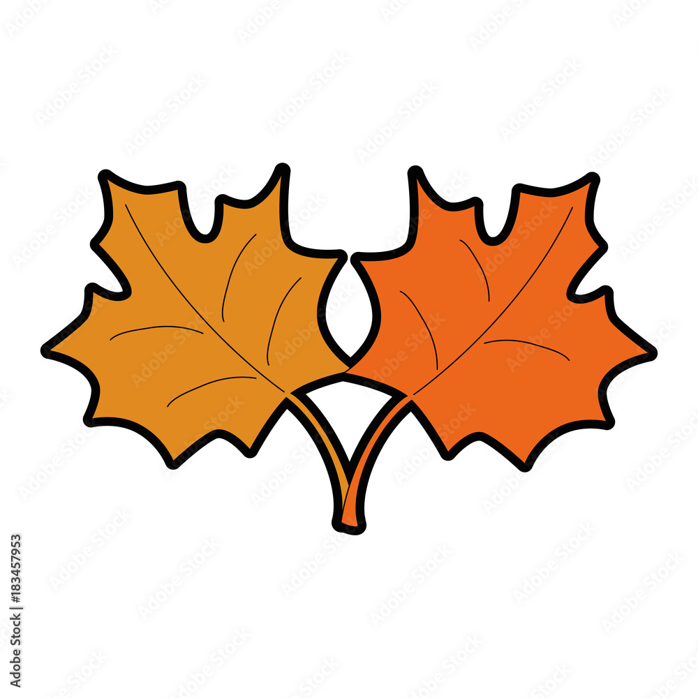 Naklejka premium mapple leaf isolated icon vector illustration design