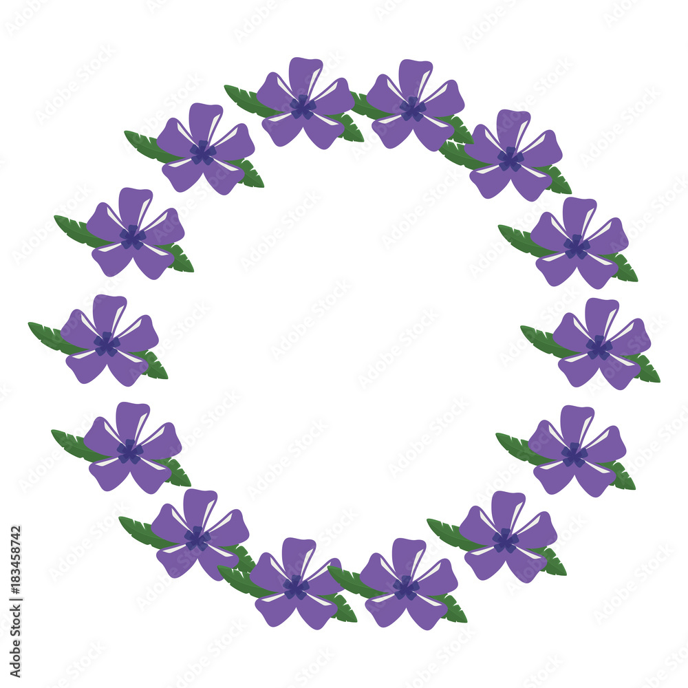 Obraz premium beautiful tropical flowers design 
