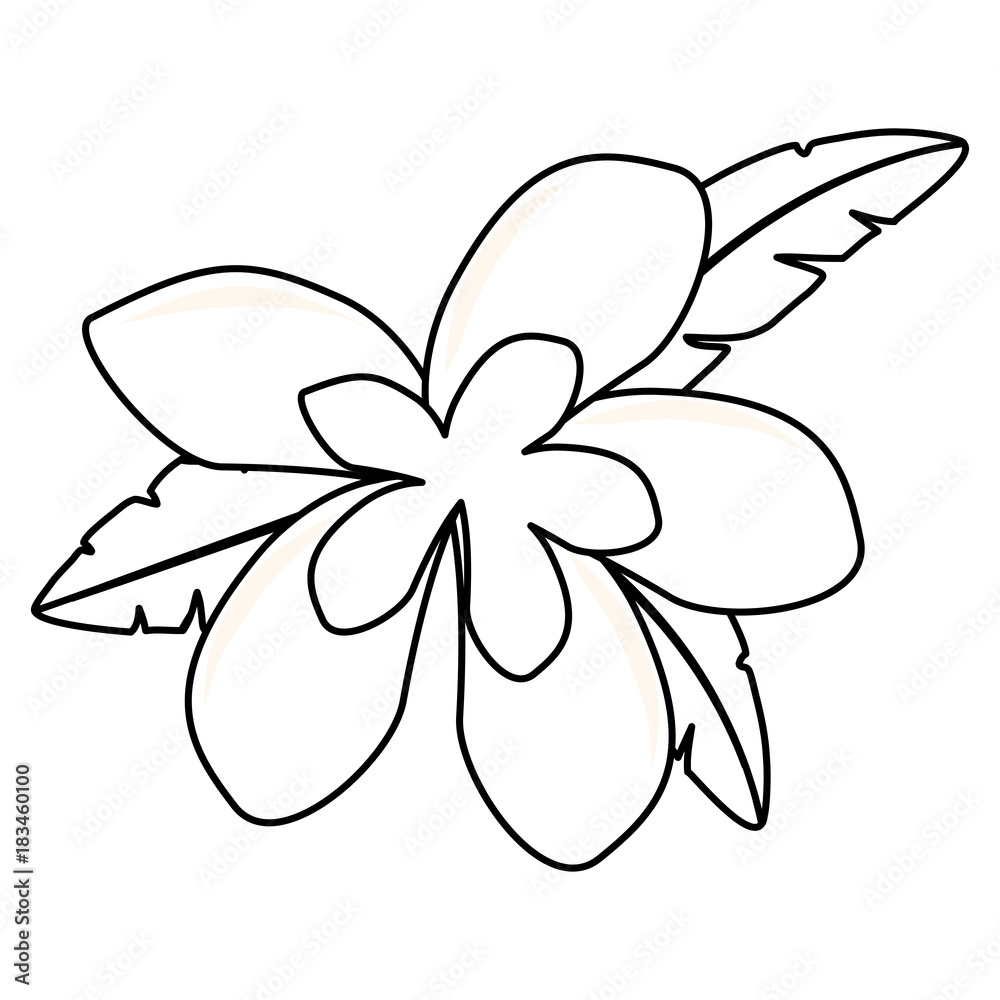 Fototapeta premium beautiful tropical flowers design 