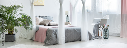 Fotografie Sophisticated bedroom with canopy bed