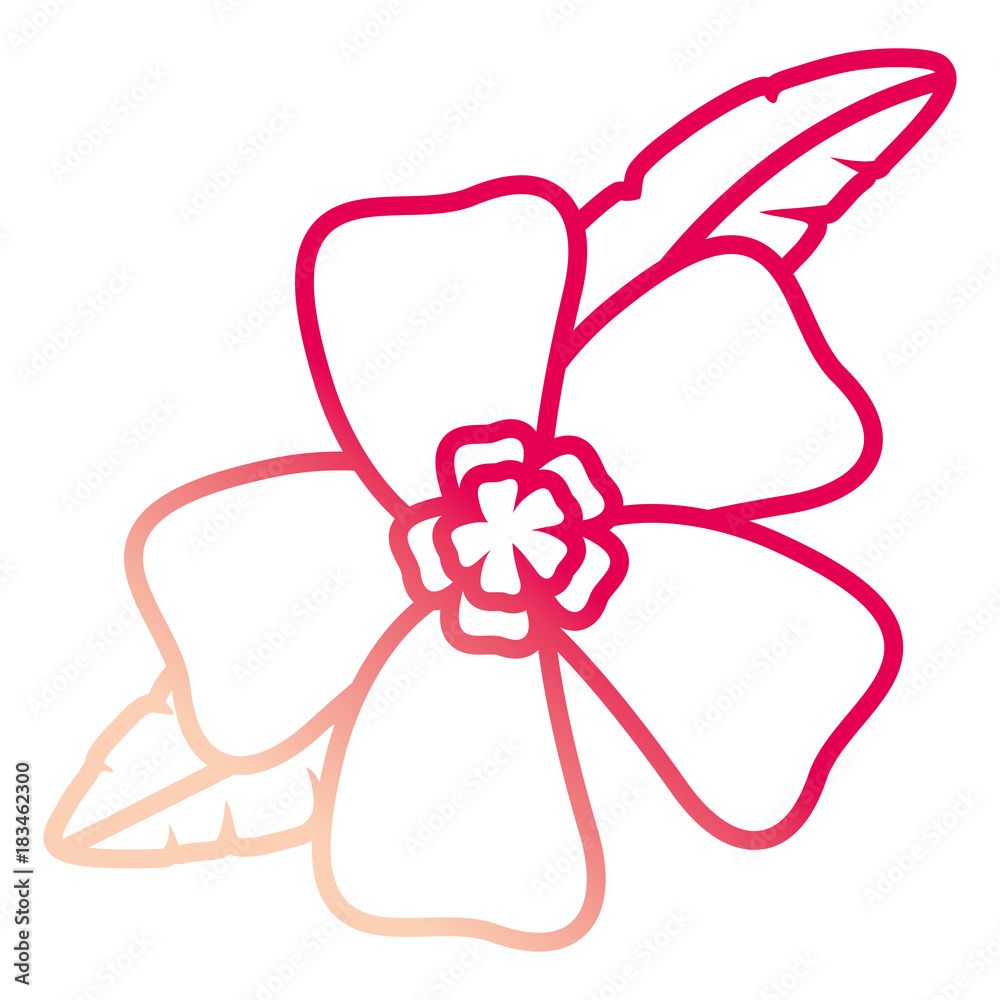 Fototapeta premium beautiful tropical flowers design 
