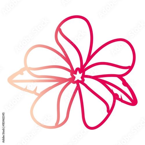 beautiful tropical flowers design 