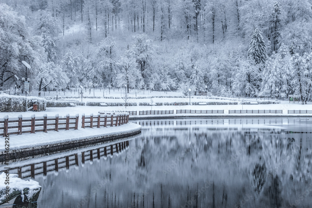Park lake after the snow storm Park lake after the snow storm