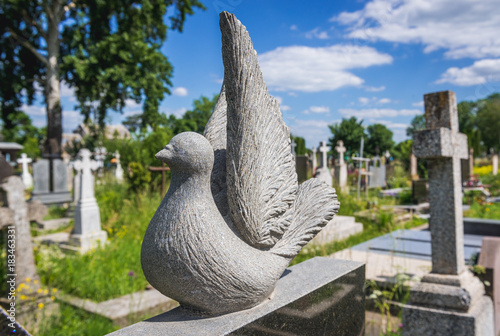 Dove sculpture on a grave on a cemetery in Chortkiv, Ukraine photo