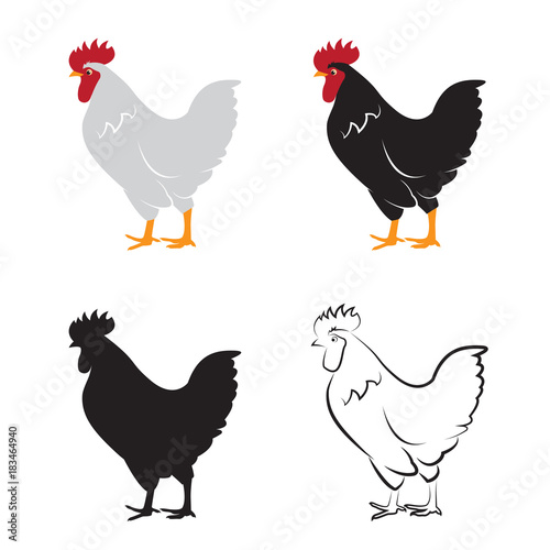 Vector of chicken design on white background. Hen. Farm Animals.