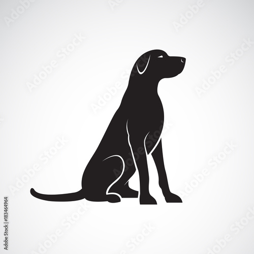 Vector of a labrador retriever dog isolated on a white background. Pet. Animals.