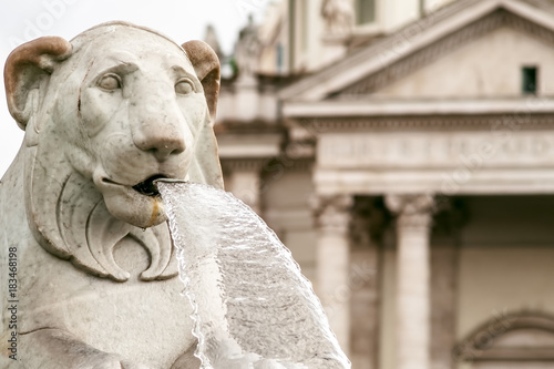 lion statues of fountain in Piazza del Popolo, Rome