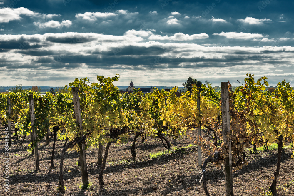 Weinviertler Landschaft im Herbst