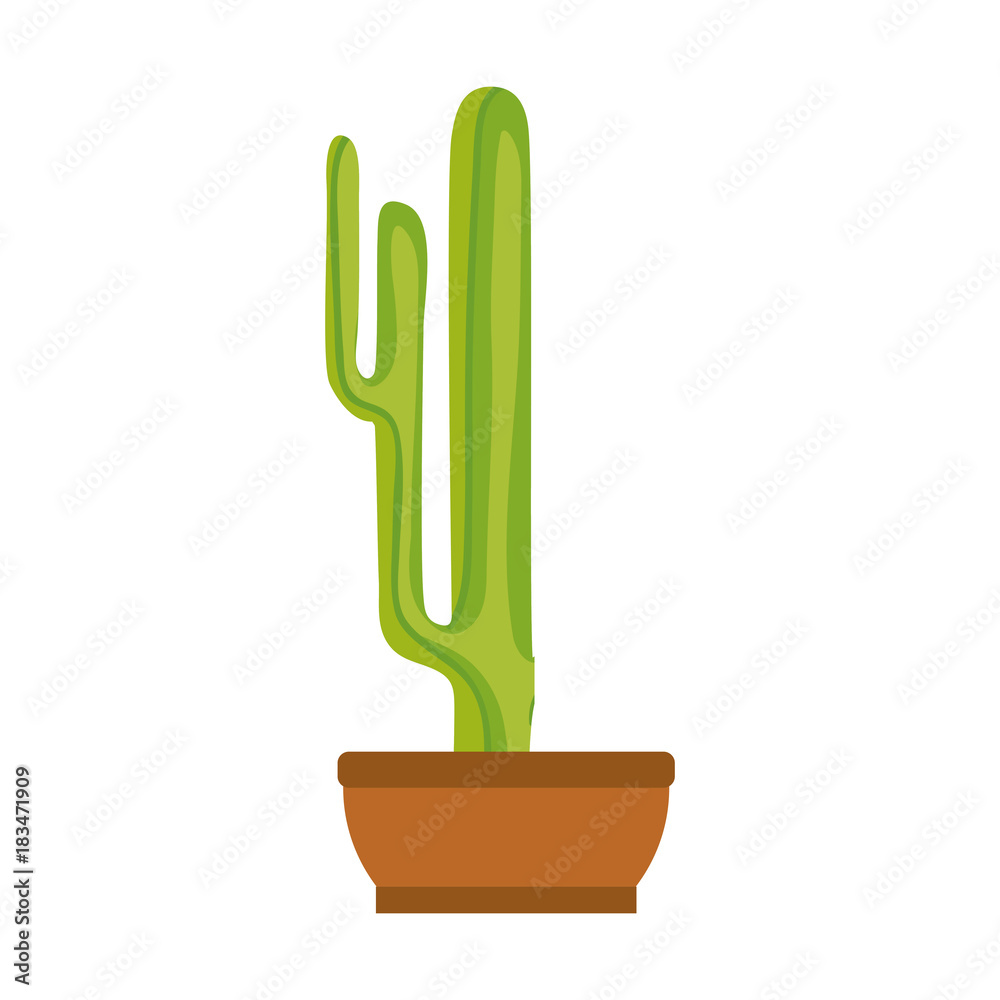 cartoon cactus in a pot cartoon cactus in a pot