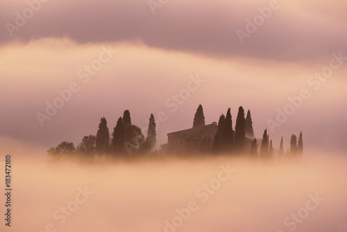 Beautiful foggy sunrise in Tuscany  Italy with vineyard and clouds. Natural idillyc seasonal autumn background