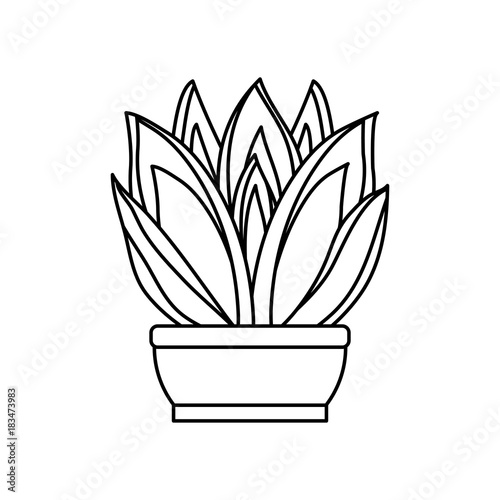 cartoon cactus in a pot