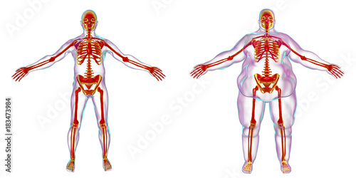 Obesity problem conceptual image, 3D illustration showing normal wieght man and normal skeleton inside obese male body