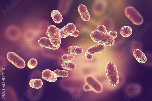 Porphyromonas gingivalis bacteria, 3D illustration. Anaerobic bacteria that cause periodontal disease, bacterial vaginosis, are probably associated with rheumatoid arthritis and esophageal cancer