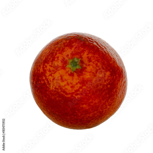 red orange isolated