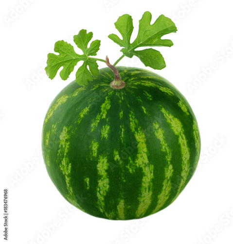 watermelon with leaves isolated photo