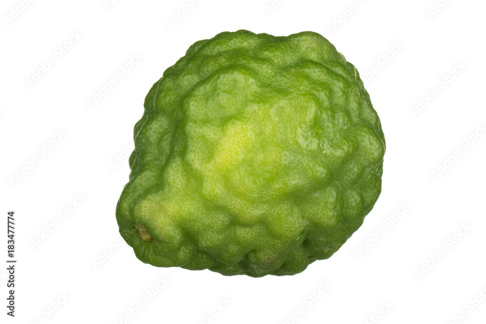 Obraz premium Kaffir lime isolated