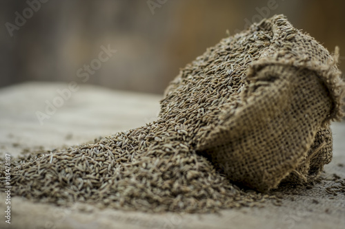 Raw organic cumin seeds,Cuminum cyminum  in  a gunny bag. photo