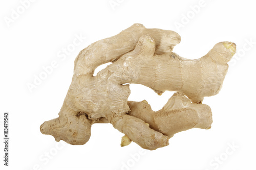 ginger isolated photo
