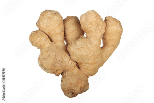 ginger isolated photo