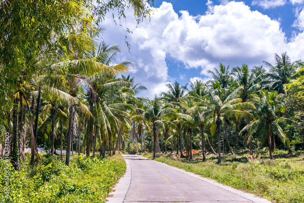 road with palms in tropical island. thailand road with palms in tropical island. thailand