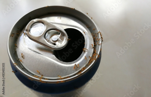 Ants eating sweet drinking on open can. Unhealthy concept.